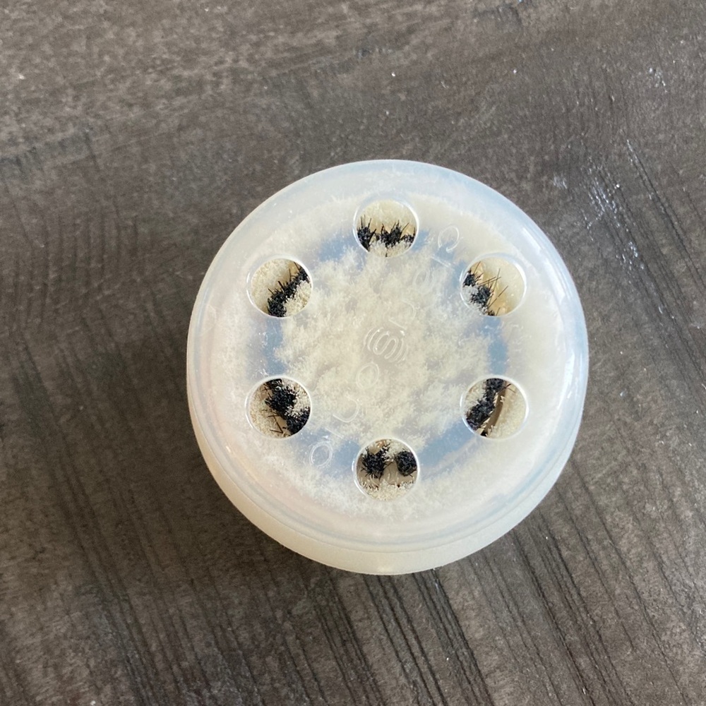 Clarisonic White Brush Head for sensitive skin